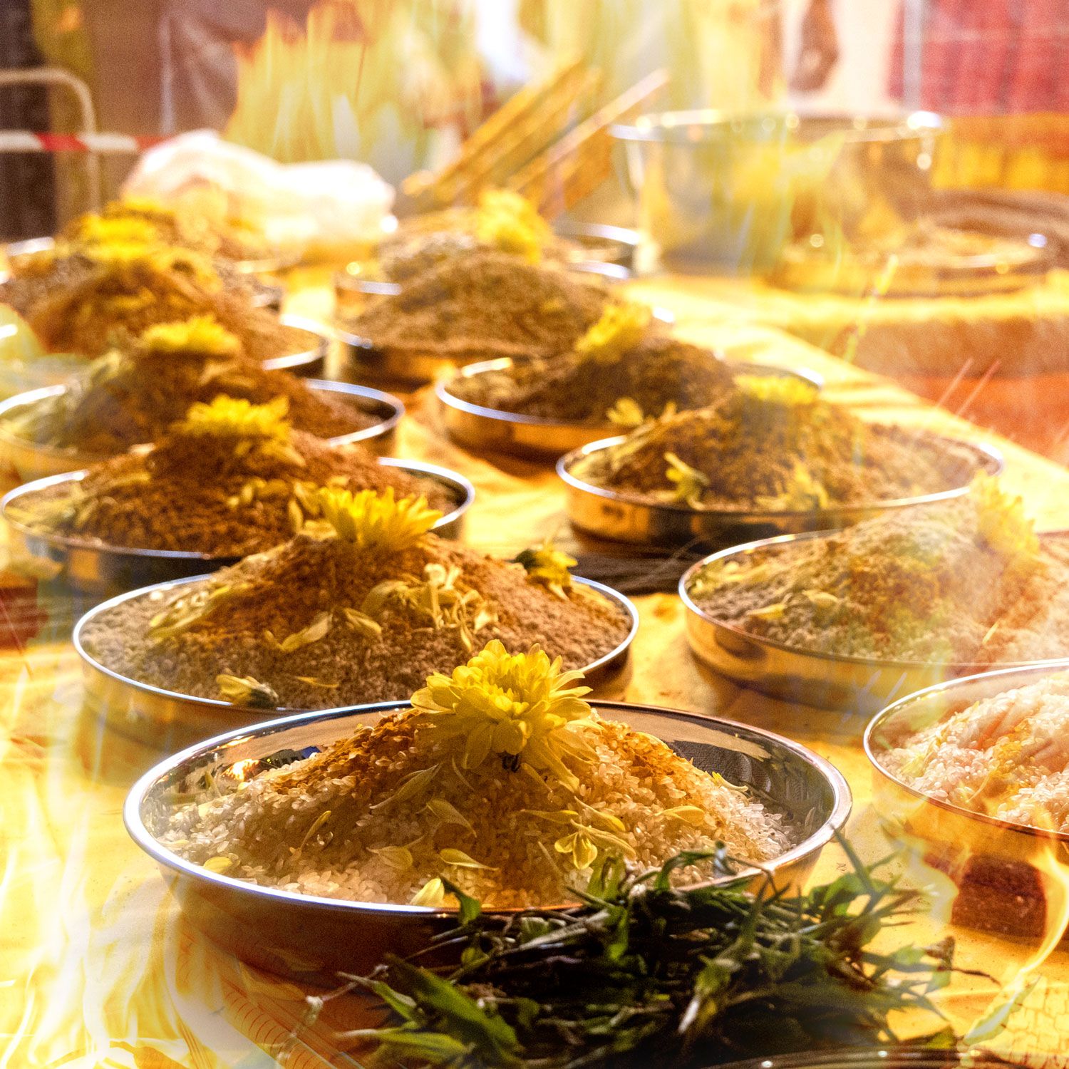 Odoo image and text block