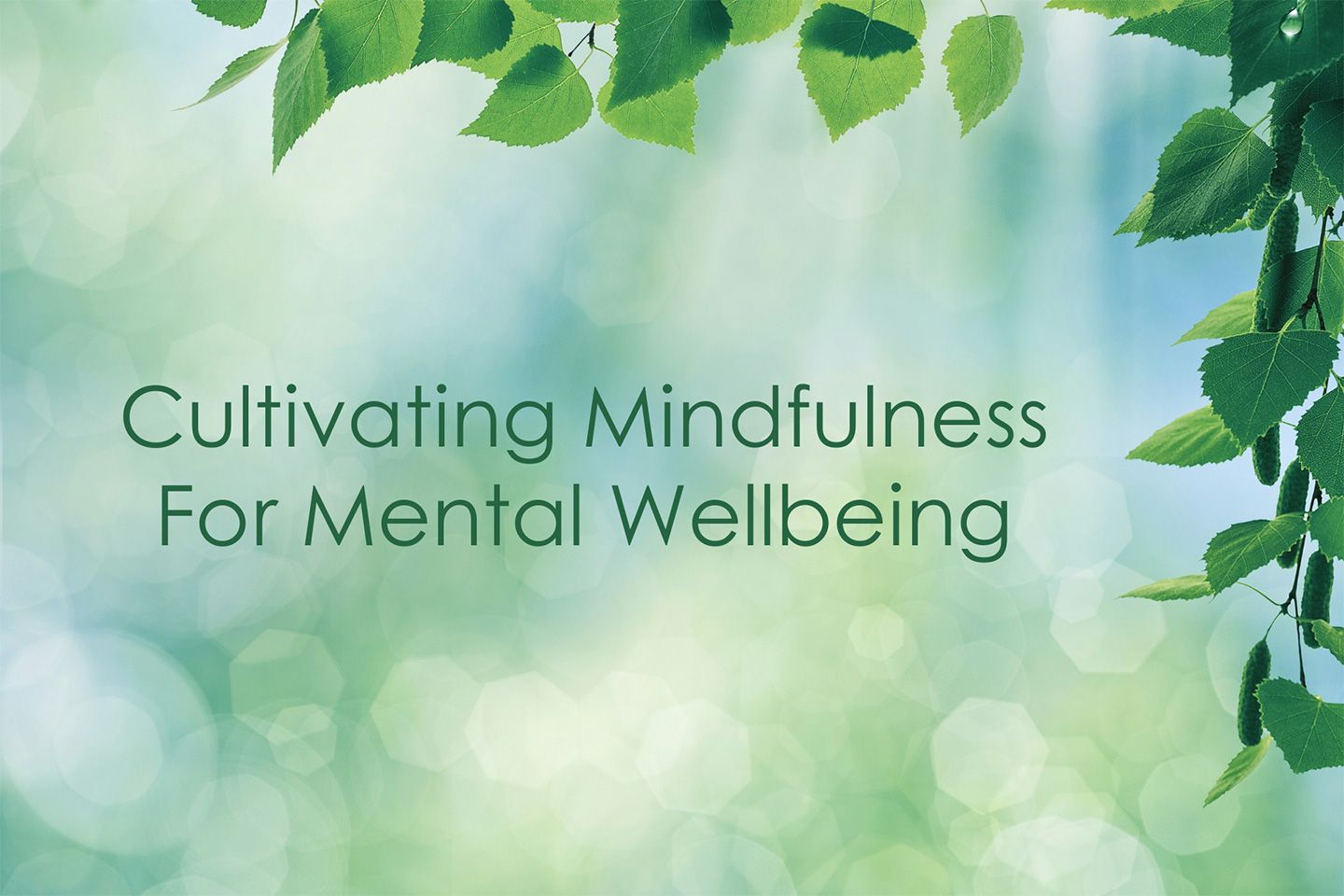 Odoo image and text block