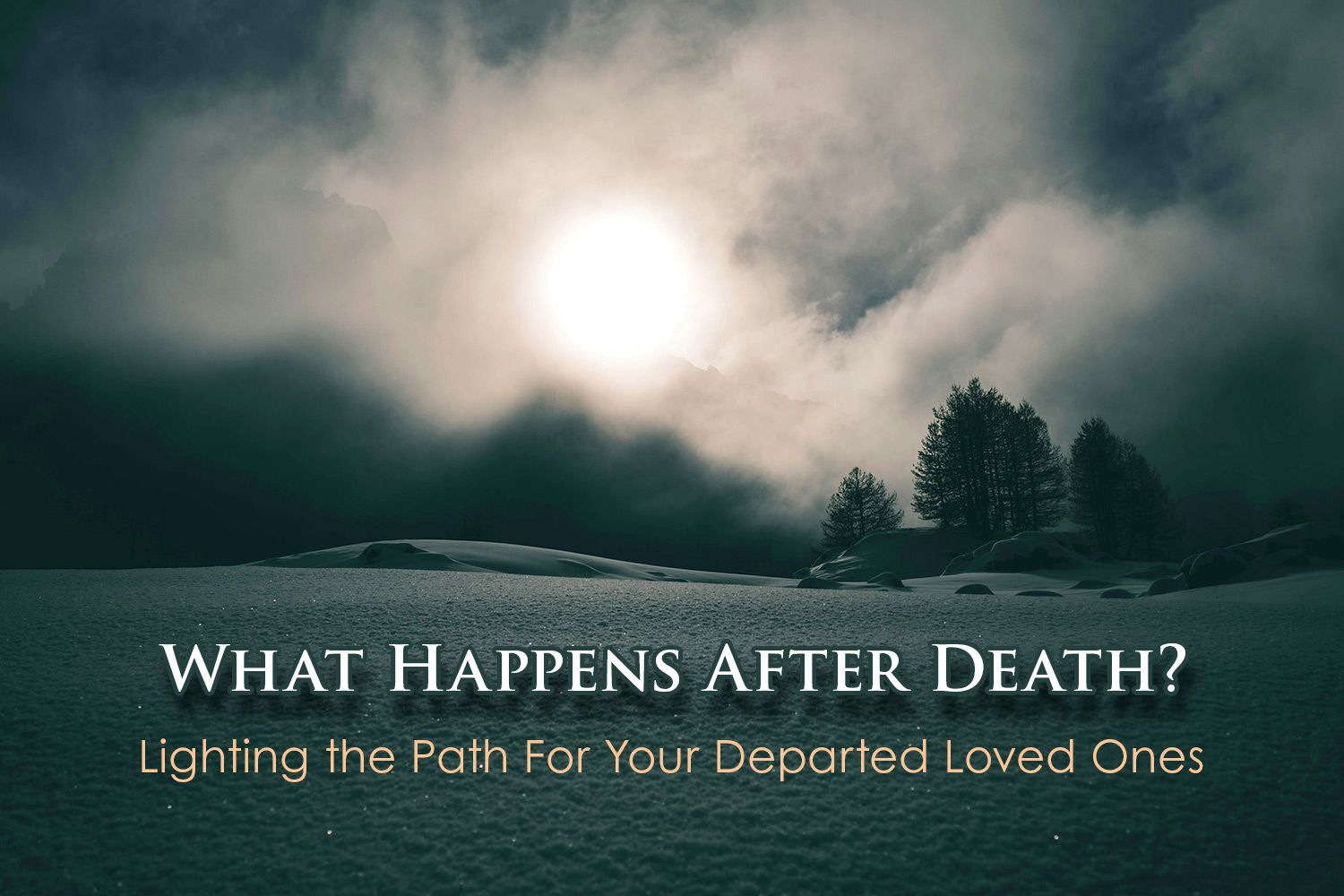 Odoo image and text block